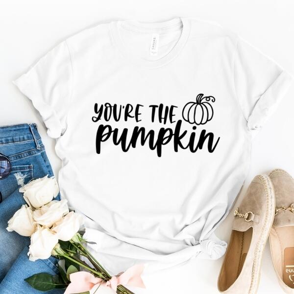 You're the Pumpkin To My Spice Thanksgiving Family T-Shirt Set